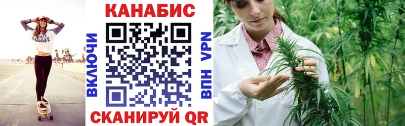 Бошки Шишки гибрид  Староминская 